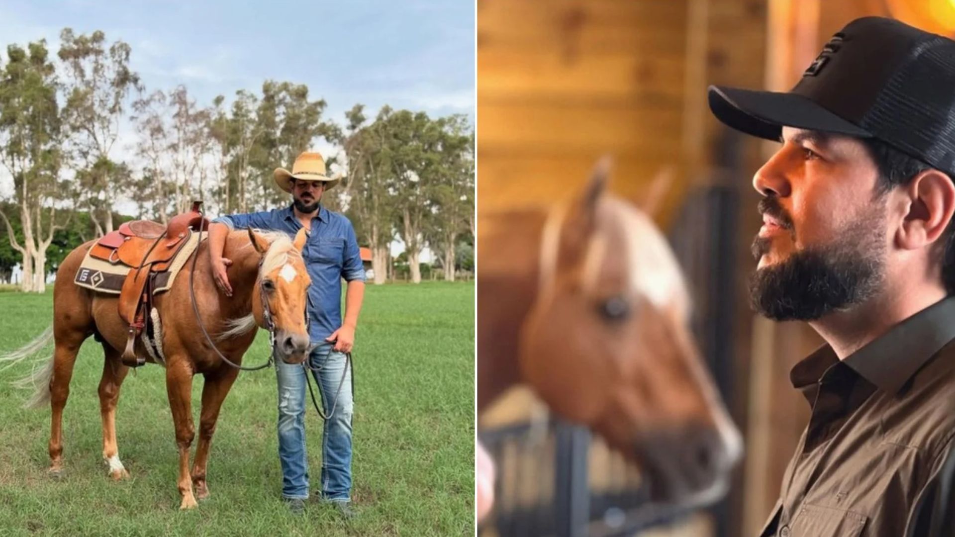 Sorocaba investe pesado e traz cavalo de linhagem nobre dos Estados Unidos
