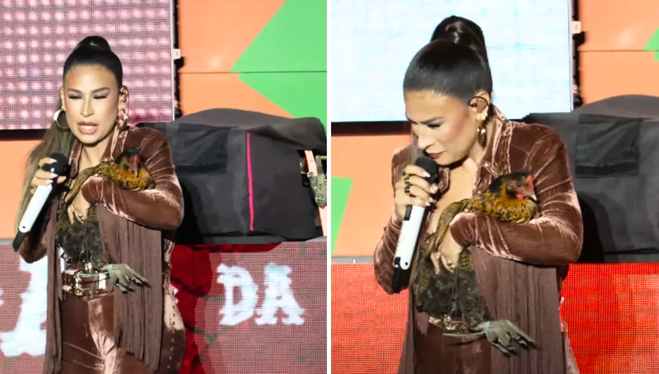 Simone Mendes ganha galinha durante show, batiza como Jurema e leva pra casa