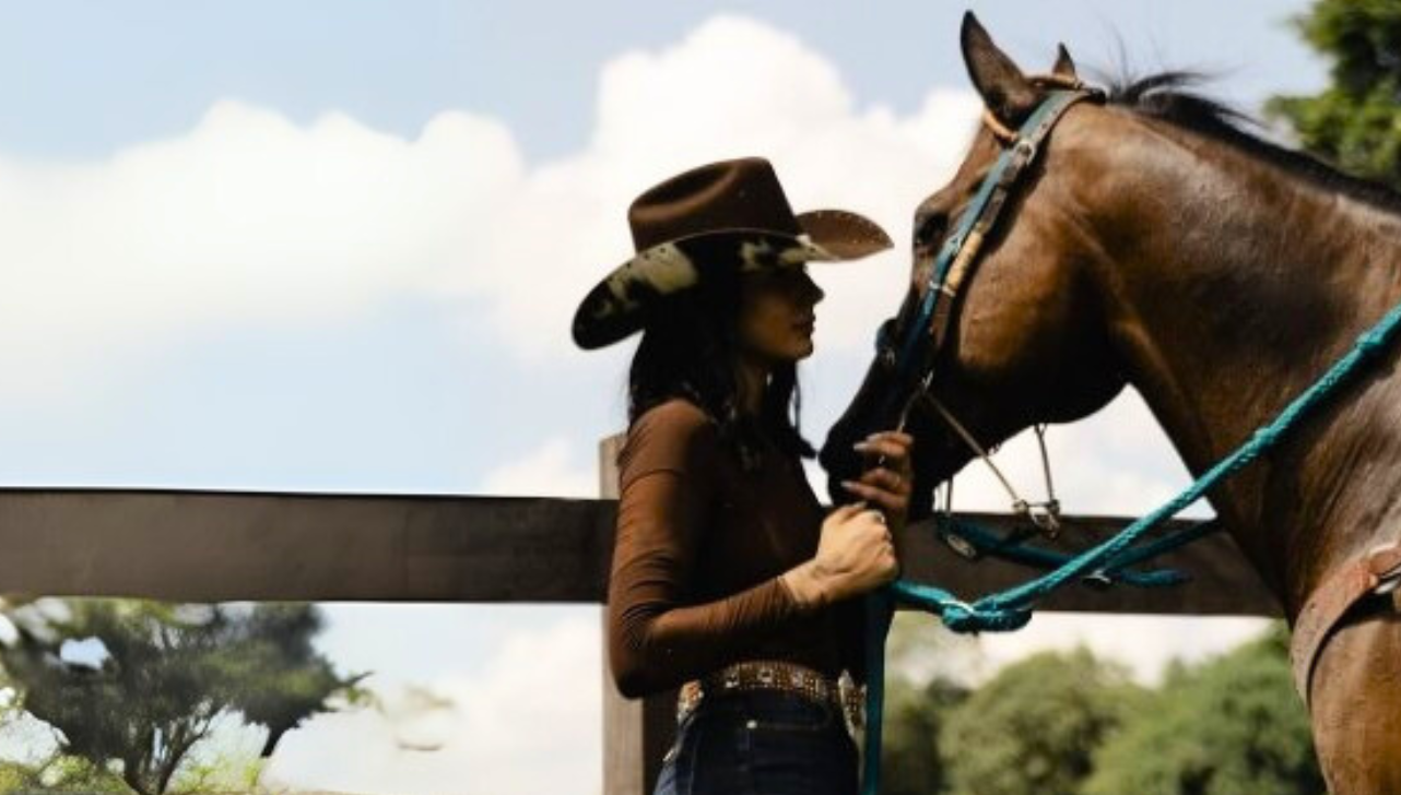 Ana Castela e Luísa Mell cobram justiça a cavalo mutilado em Bananal, interior de SP